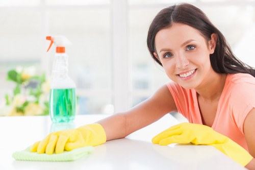 Carpet cleaning team preparing safe equipment and workspace