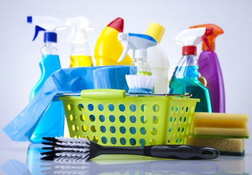 Hoxton Carpet Cleaners team introduction with a focus on professional carpet care