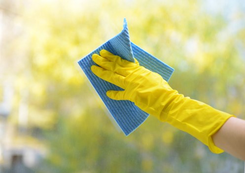 Carpet cleaning in a Hoxton home with deep cleaning equipment