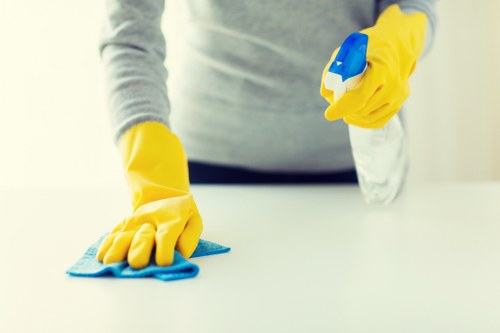 Eco-friendly carpet cleaning service in Hoxton